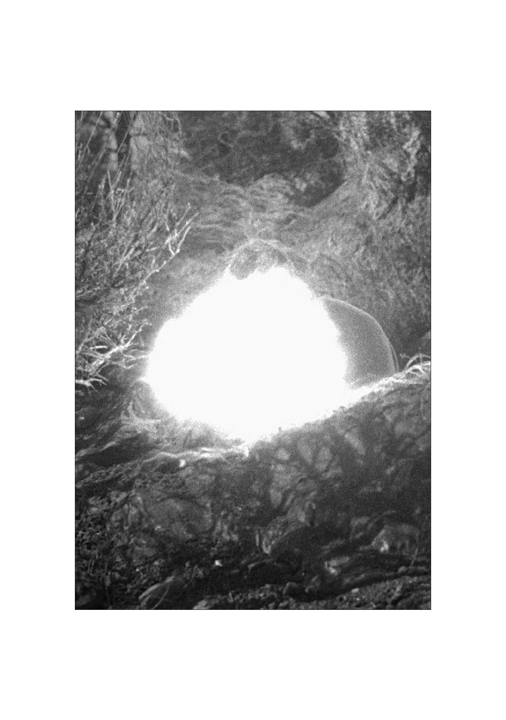 Screenshot (Houston)_50x70 p1.png